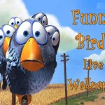 Funny Birds Live Wallpaper icon