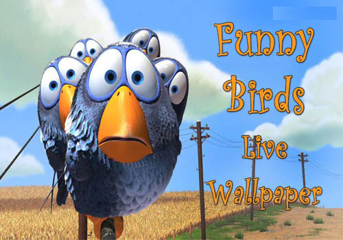 Funny Birds Live Wallpaper Android Free Download