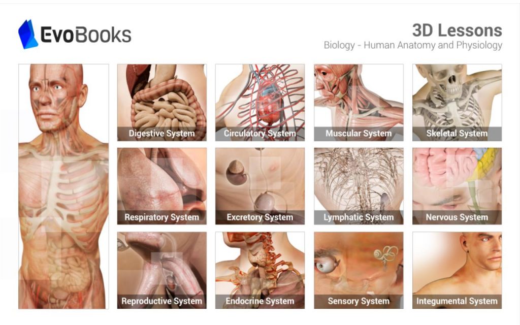 Anatomy And Physiology screenshot 2