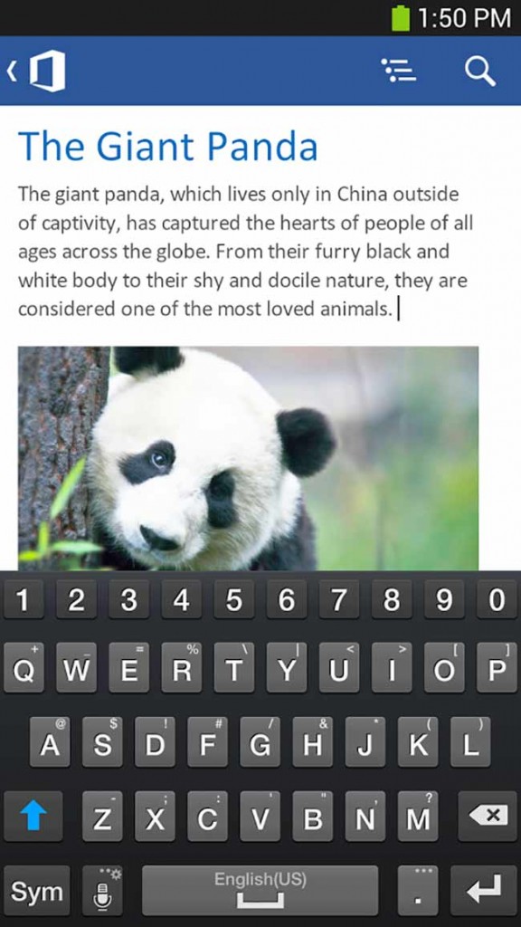 Microsoft Office screenshot 3