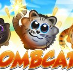 Bombcats Special Edition icon