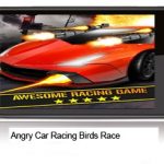 Angry Car Racing Birds Race icon