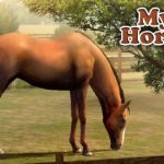 My Horse icon