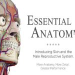 Essential Anatomy 3 icon
