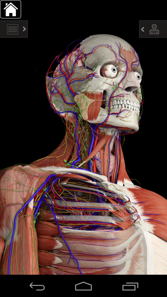 Essential Anatomy 3 screenshot 4