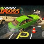 Park Like A Boss icon