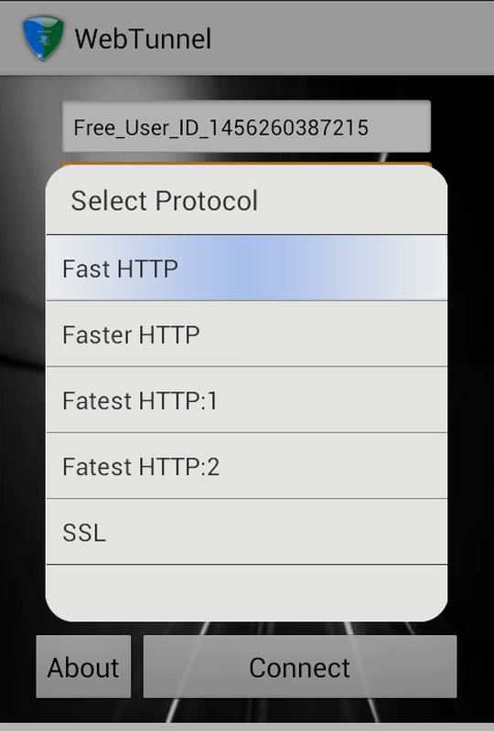 VPN Over HTTP Tunnel WebTunnel screenshot 3
