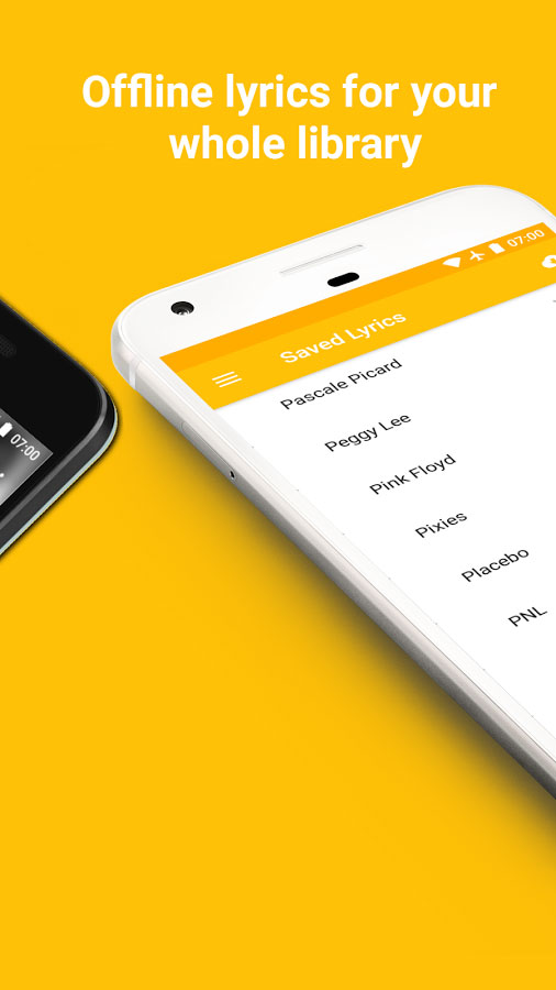 QuickLyric screenshot 2