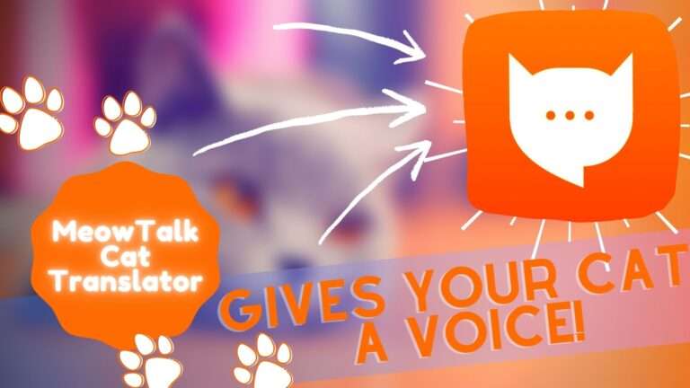 MeowTalk Beta Android