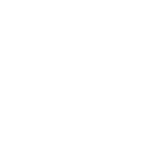Hazel icon