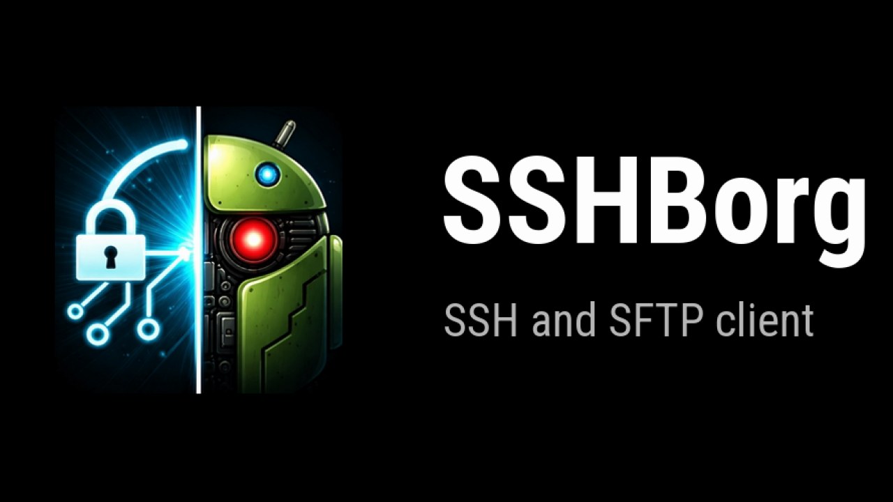 SSHBorg