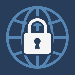 Webview Kiosk icon
