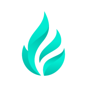 Flare icon