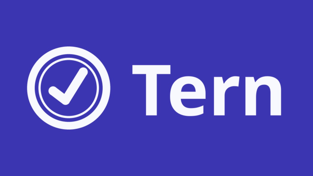 Tern