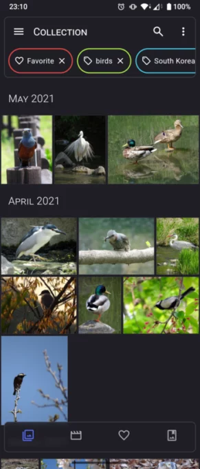 Aves Libre screenshot 1