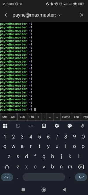 SSHBorg screenshot 2