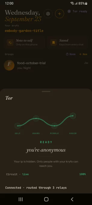 Kryfo screenshot 4