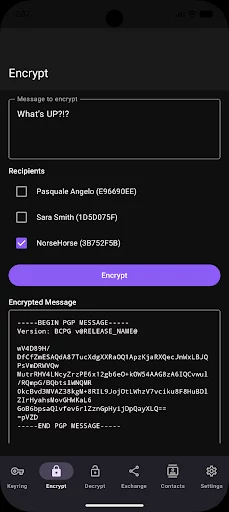 PGPony screenshot 2