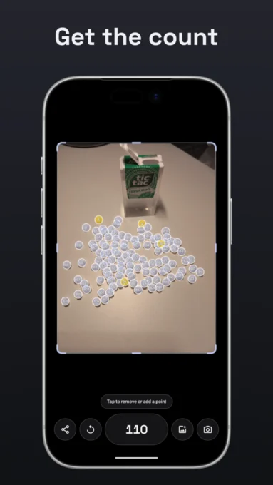 how many? - Count from Photo screenshot 3