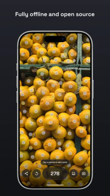 how many? - Count from Photo screenshot 6