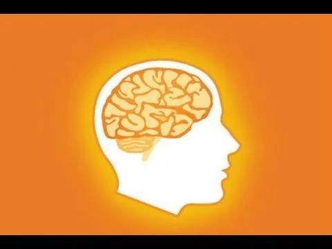 Lumosity: Brain Training Games trailer