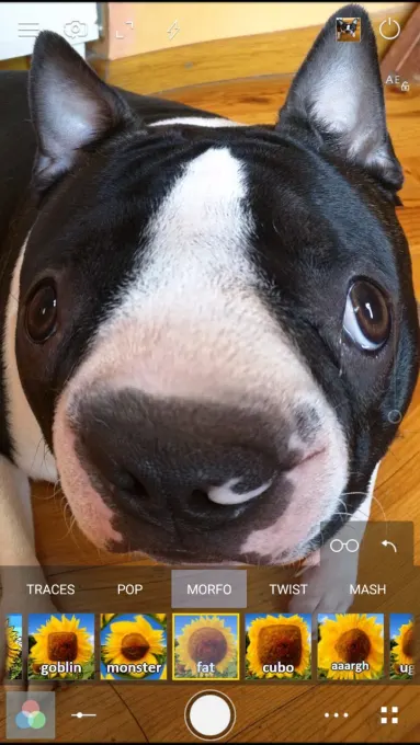 Cameringo Lite. Filters Camera screenshot 7