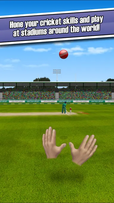 New Star™ Cricket screenshot 4