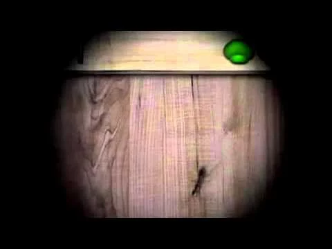 Ant Smasher Best trailer