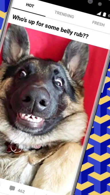 9GAG: Funny GIF, Meme & Video screenshot 2
