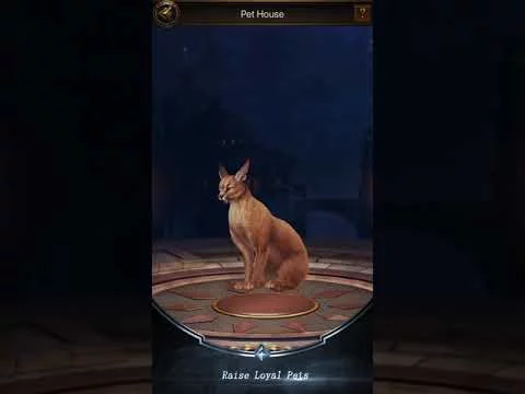 Revenge of Sultans trailer
