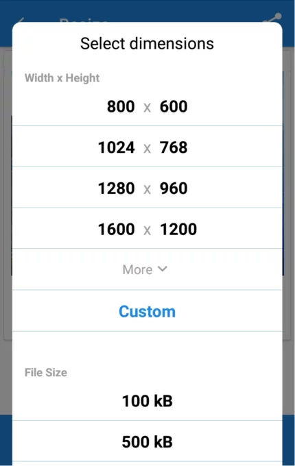 Photo & Picture Resizer screenshot 3
