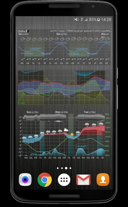 Meteogram Pro Weather Widget screenshot 1