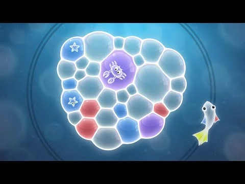 Tiny Bubbles trailer