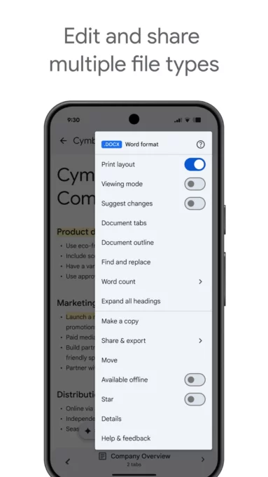 Google Docs screenshot 2