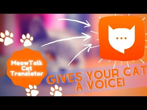 MeowTalk Cat Translator trailer