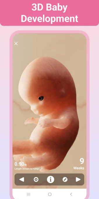 Pregnancy + | Tracker App screenshot 5